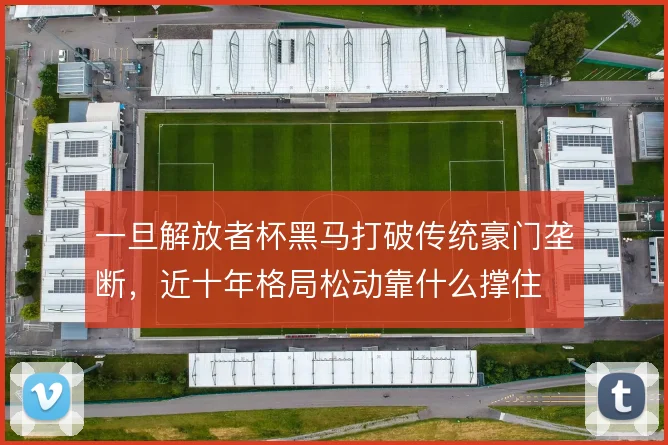 一旦解放者杯黑马打破传统豪门垄断，近十年格局松动靠什么撑住